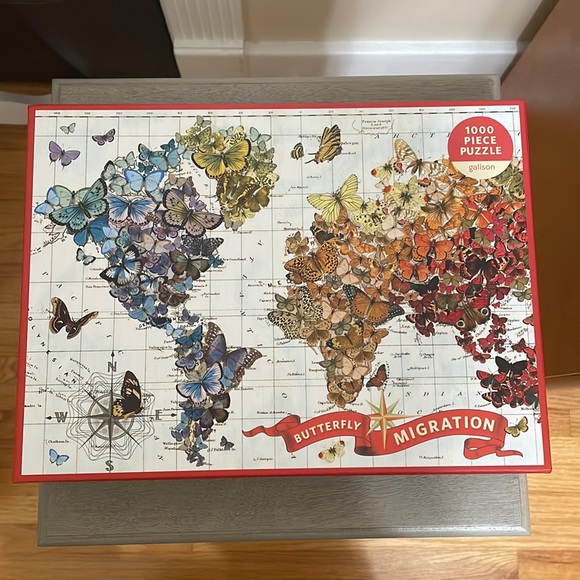 Butterfly Migration Puzzle